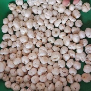 6 + SUTA Makhana
